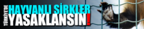 webbanner-sirk3